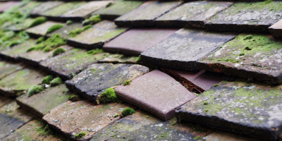 Alscot roof repair costs
